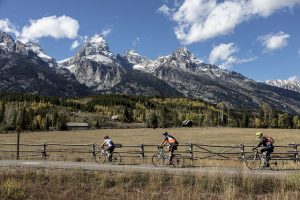 Quel Velo Pour Quelle Pratique