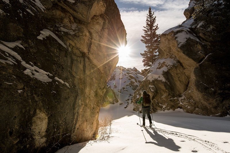 Tailles De Ski